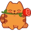 WWW