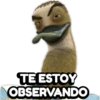 un gallo con muchos huevos 19