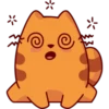 I’m a Cat 16