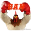 un gallo con muchos huevos 21