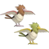 نست