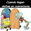 Bob Esponja Coronavirus 24