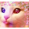Gatos decorados 24