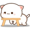 Mochis cat 3 (Yeisi) 25