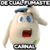 un gallo con muchos huevos 22