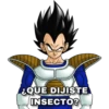 Dragon ball ️ 13