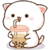 Gatitos Cute 26