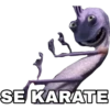 SE KARATE