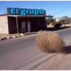 De todo un poco 5