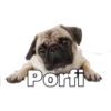 balwhorx
Porfi