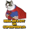 Memes uwu 9 9