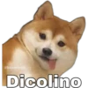 @baewhorx
Dicolino