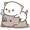 Mochis Cat 4 (Yeisi) 11