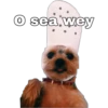 (0)
sea wey
baewhork