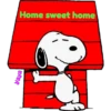Home sweet home
yaya