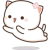 Mochis Cat 4 (Yeisi) 14