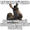 Burro (Shrek) 9