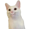 Memes uwu 9 13
