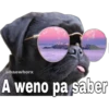@baewhorx
A weno pa saber