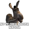 Burro (Shrek) 14