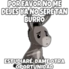 Burro (Shrek) 15