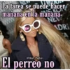 La tarea se puede hacer
mañana en la mañana-
NEW
ADRI
Pilar Mata
El perreo no
