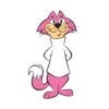 Don Gato 16