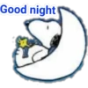 Good night