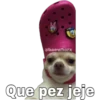 @baewhorx
Que pez jeje