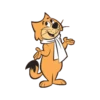 Don Gato 20