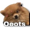 @baewhorx
Ooots