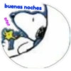 buenas noches