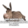 Burro (Shrek) 22