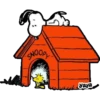 Snoopy 24