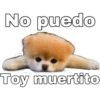 No puedo
abaewhorx
Toy muertito