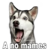 @baewhorx
A no mames