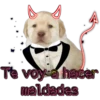 De todo un poco 28