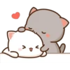 Mochis Cat 4 (Yeisi) 24
