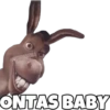 Burro (Shrek) 28