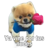 @baewhorx
Ya vine por tus
nudes