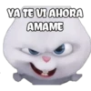 VA TE VI AHORA
AMAME