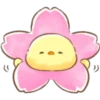 Soft & Cute Chick (Summer) 6