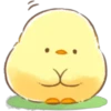 Soft & Cute Chick (Summer) 7