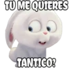 TU ME QUIERES
TANTICO