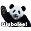 Qiubolee!