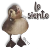AnimalitoS 6