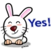 Cute Animals 6