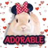 AnimalitoS 7