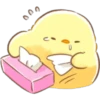 Soft & Cute Chick (Summer) 9