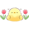 Soft & Cute Chick (Summer) 10